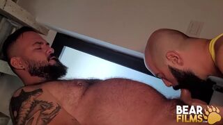 BEARFILMS Fat Bear Brian Bear Barebacks Carlos Verga - 6 image