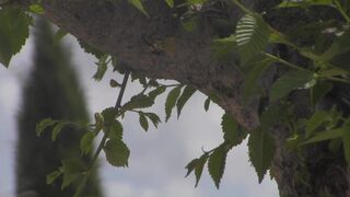 Excursion with my student near Portugal - 7 image