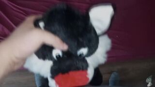 I love fuck this plush little kitty Fun#1