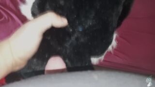 I love fuck this plush little kitty Fun#1