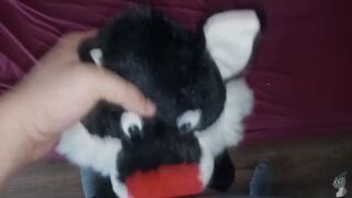 I love fuck this plush little kitty Fun#1