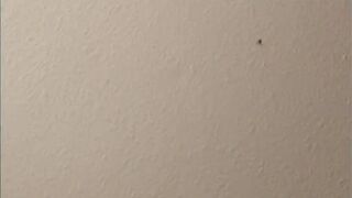 Hung dude uses spun twinks throat - 8 image