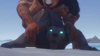 Gay Lion & Wolf Fuck By The Beach and Make Lots of Cum (Furry Orgasm In Mouth) / Wild Life Furries - 1 image