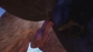 Gay Lion & Wolf Fuck By The Beach and Make Lots of Cum (Furry Orgasm In Mouth) / Wild Life Furries - 11 image