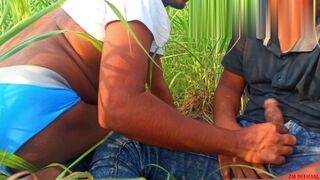 Bangladeshi teen boys first time gay sex on Sugarcane fields | Open public place sex | ZM_OFFICIAL - 1 image
