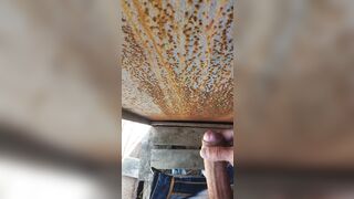 Abandoned place for fun and relaxation