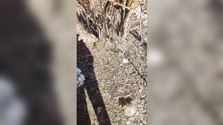 Abandoned place for fun and relaxation - 3 image