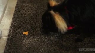 Special Visitor - Jamie Sanders & Adrian Rivers - 3 image