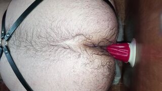 Anal training with a happy Ending. - 14 image