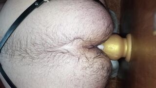 Anal training with a happy Ending.