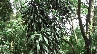 Two sexy Latinos have passionate anal fucking outdoors - 1 image