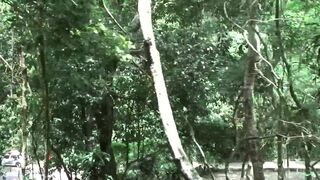 Two sexy Latinos have passionate anal fucking outdoors - 3 image