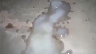 This Is Your Life Now Black Sissy PMV