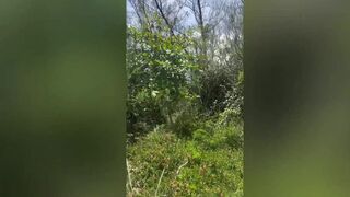 Watch Novin Carioca & Jhulian Moura get their tight assholes drilled raw on the beach by a massive black cock - 1 image