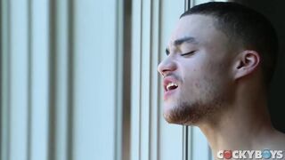 Beaux Banks & Ricky Roman take a rough anal pounding with a cumshot