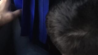 ROUGH BLOWJOB IN THE BUS BIG CUMSHOT !! - 4 image