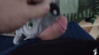 Wolf 1 Fun #2 - 13 image