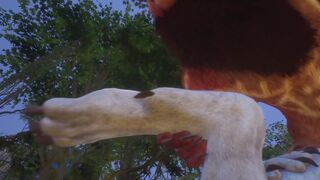 Two Gay Male Lions Creaming Each Other (POV & Paw Shots) | Wild Life Furries - 7 image