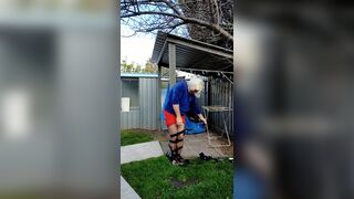 Daisy taped to a pole in back yard