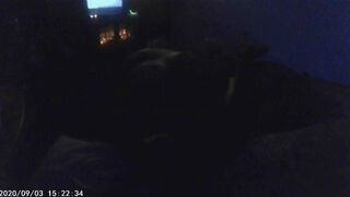 Pounding BF’S Ass - 11 image