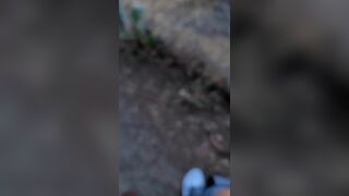 Buena Vista Park Cruising - 2 image