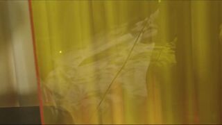 NS - I Love New York - 8 image