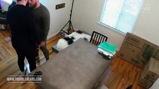 horny in cozy suits - 2 image