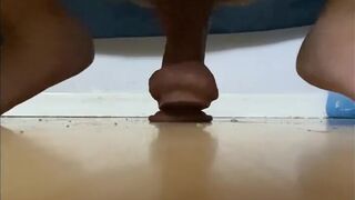 Compilation of some Nightly Fun