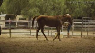 Painful Love - Clark Davis & Vincent OReilly