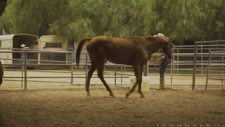 IM - Painful Love - Clark Davis & Vincent OReilly