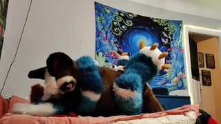 Dog Bangs a Fox and Cums on his Face - 4 image