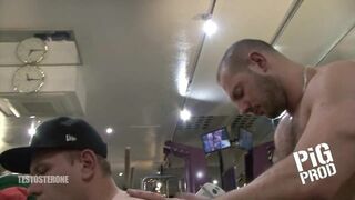PigProd - TESTOSTERONE - 1 image